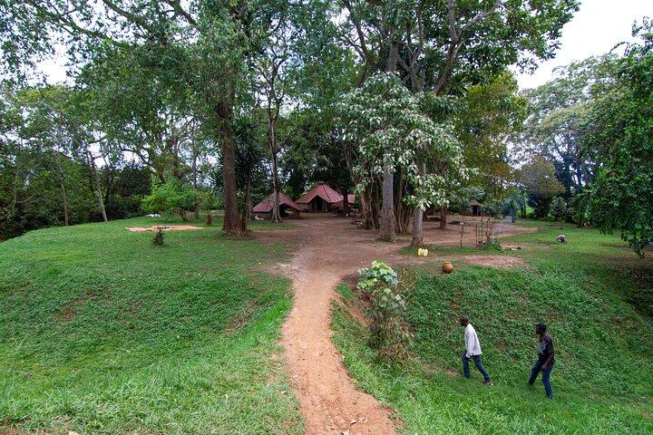 Full Day Buganda Traditions, Culture Sites and Norms Tour