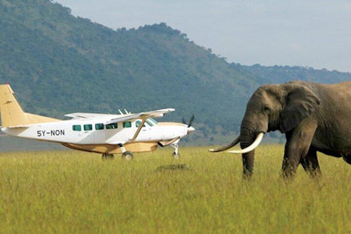 9 Days of Wildlife Adventure with Flights High End in Kenya