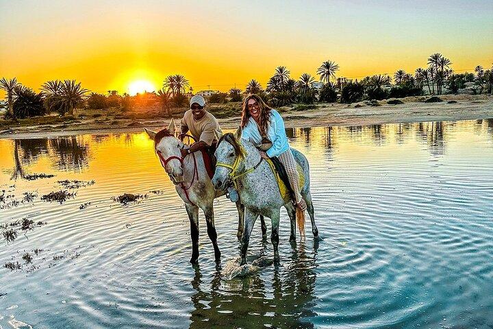 Horseback riding or camel at sunset in Djerba