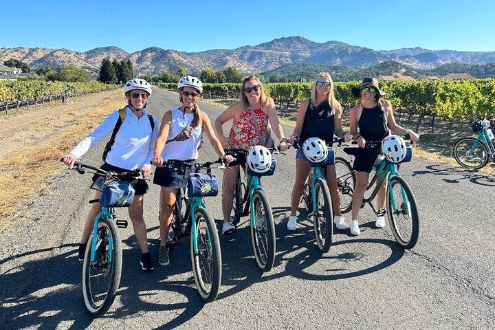 Half-Day Napa Winery E-Bike Tour