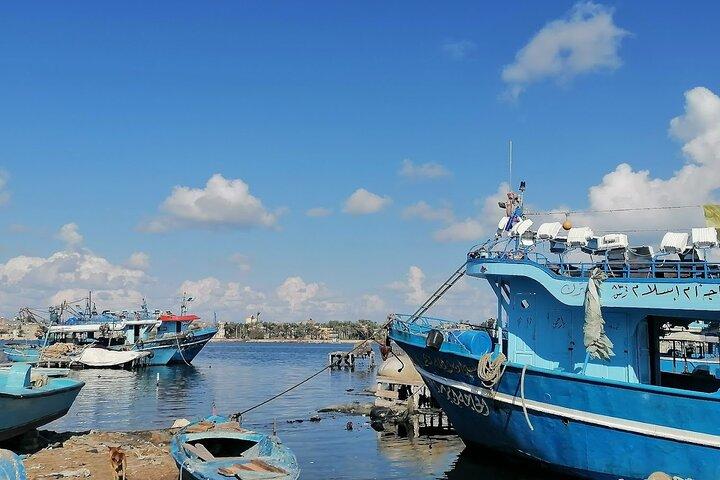 Day Tour with Lunch to Alexandria Cairo