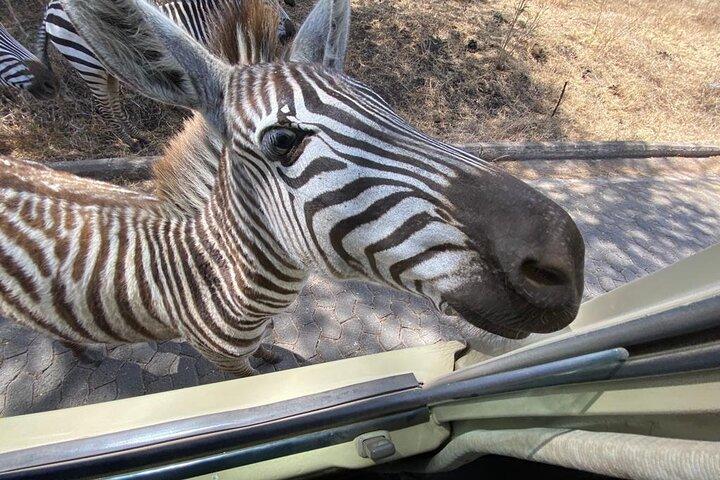 3 Day Safari to Tarangire Lake Manyara and Ngorongoro Crater