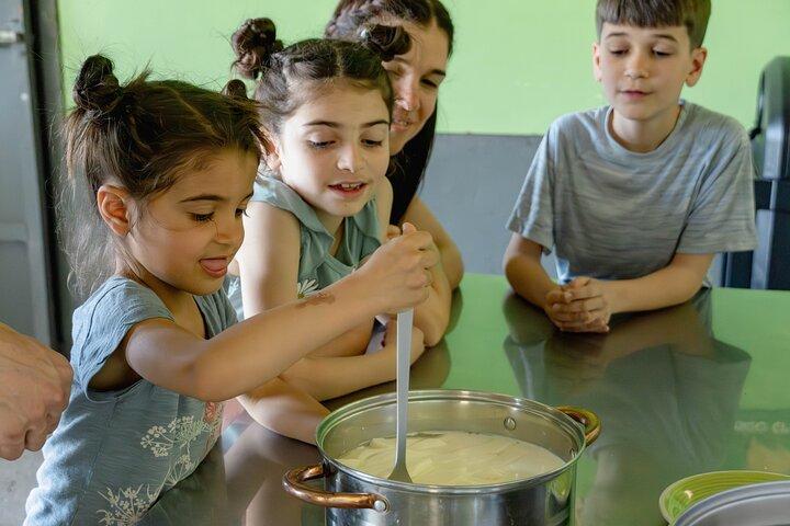 From Cow to Cheese: Authentic Farm & Cheese Tour in Monteverde