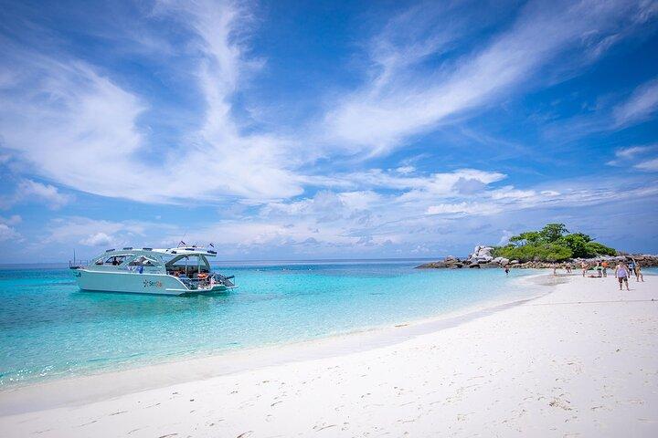 Phuket Dolphin Quest: Racha & Maiton Island Expedition