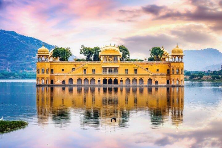 Jaipur: Amer Palace, Jal Mahal & Stepwell Private Half-Day Tour