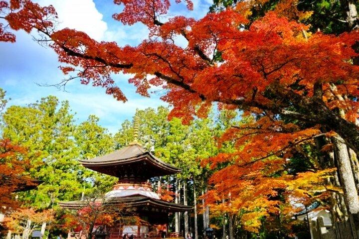 Mt Koya and Kishi Station 1 Day Bus Tour from Osaka