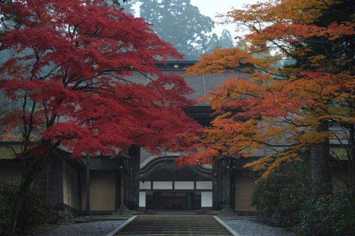 Mt Koya and Kishi Station 1 Day Bus Tour from Osaka