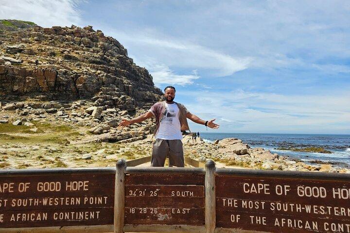 Private Cape Peninsula Tour: Cape Point & Boulders Penguins