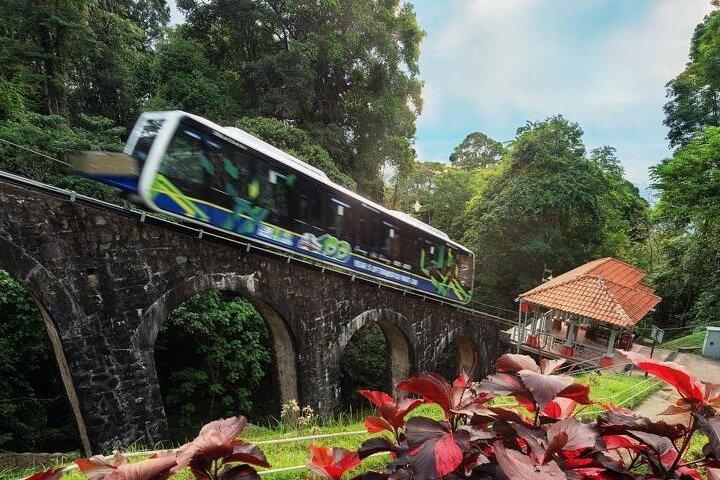 6 Hours Enchanting Exploration in Penang