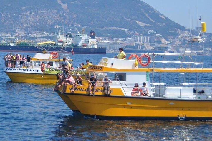 Gibraltar and Dolphin Watching Excursion from Malaga