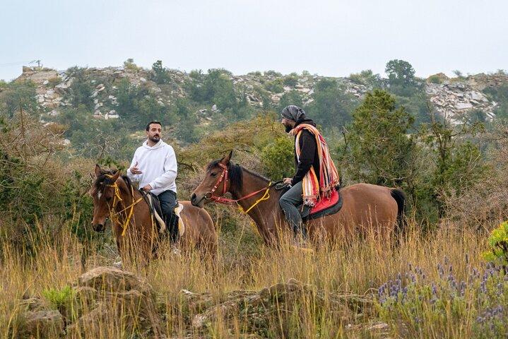 Horse Riding Experience in Riyadh | Tanomah | Jeddah | Al Ula