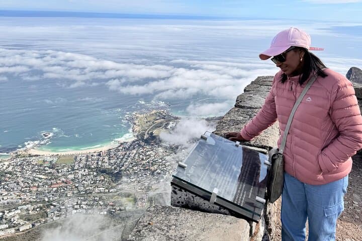 Table Mountain, Penguins & Muizenberg Beach Private Half Day Tour