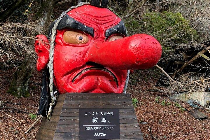 Hiking Tour for Sacred Sites in Kyoto with a Guide
