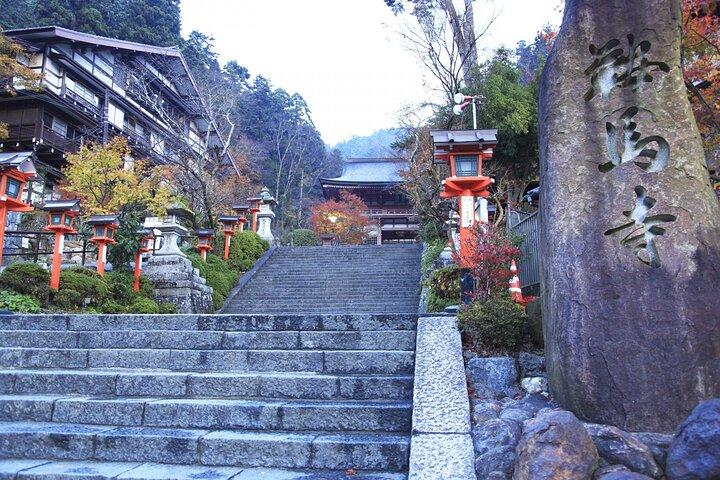 Hiking Tour for Sacred Sites in Kyoto with a Guide