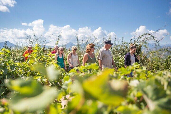 Combo: Mycenae and Wine tour from Nafplio