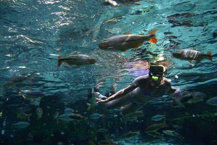 Private Multiday Tour to Panatal with Pickups