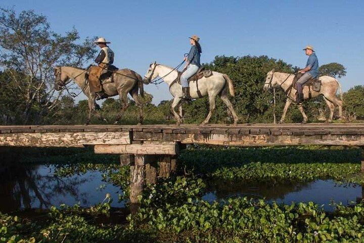 Private Multiday Tour to Panatal with Pickups