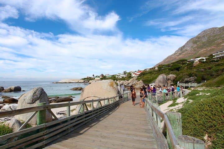 Table Mountain Boulder's Beach and Cape Point