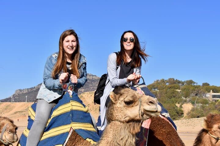 Port Pick Up: Tangier All-inclusive Small Group Tour