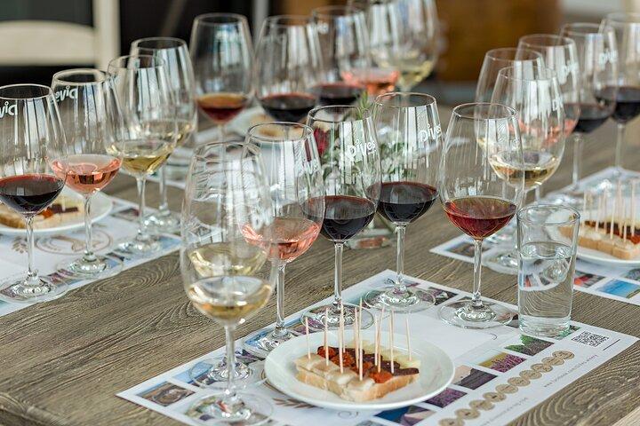 Special History And Wine Tour including Wine Tasting