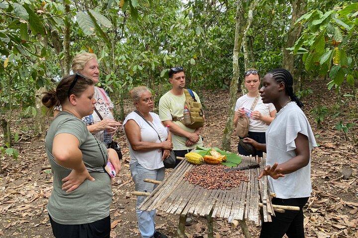 Accra Day Trip to Aburi Botanical Gardens, Waterfalls, Cocoa Farm