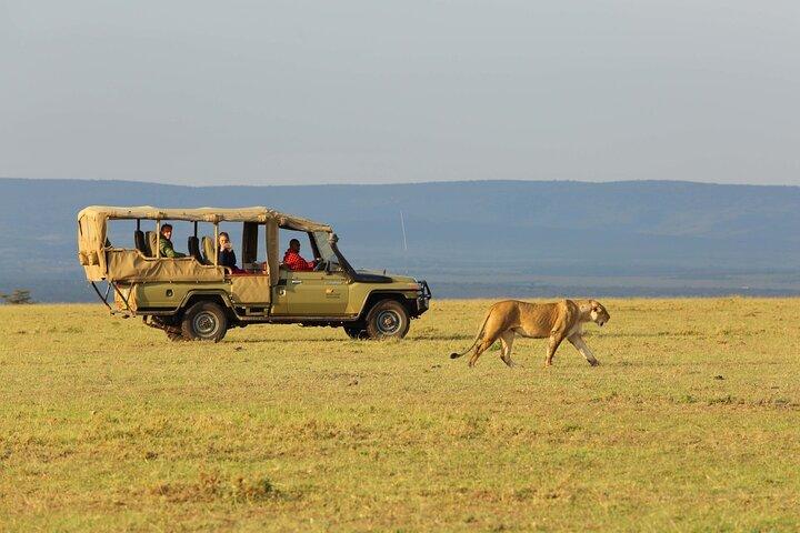 13 Days Gorilla, Masai Mara and Serengeti Wilderness Safari