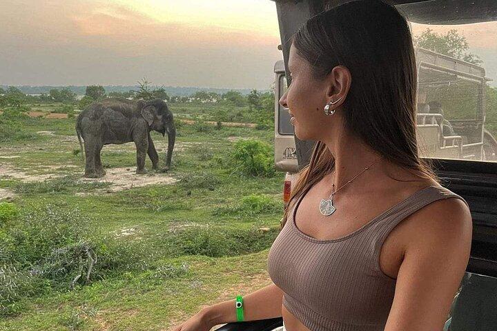 Yala National Park Safari : Special Guided Tour