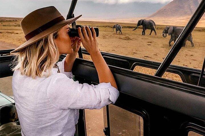 6 Days Private Tanzania Midrange Safari Adventure