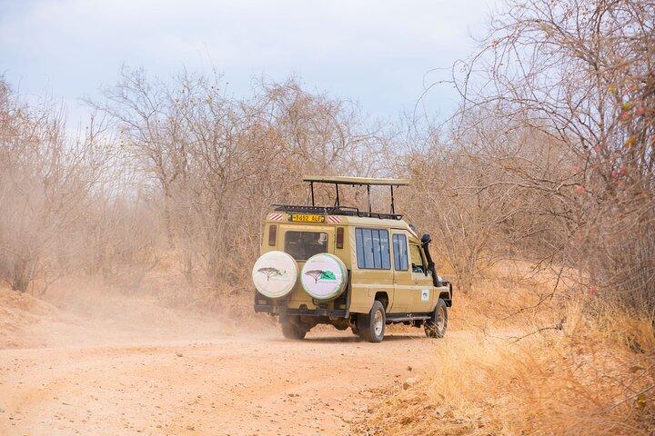 2 Days Mikumi Private Safari from Zanzibar with Accommodation