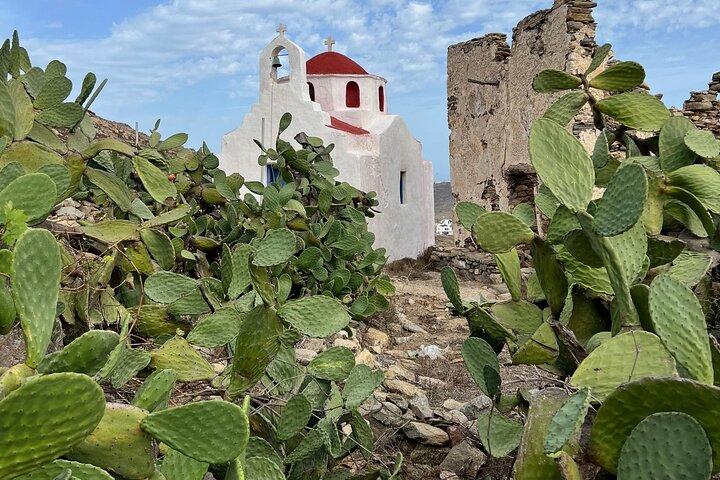 Private Tour in Mykonos Greece