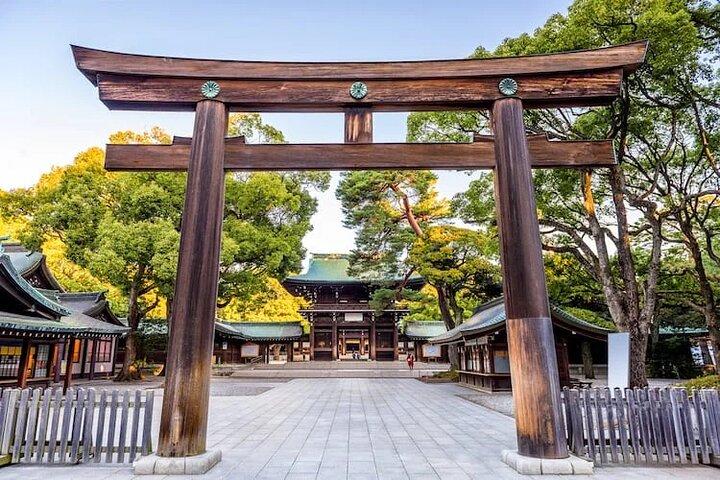 Tokyo Private Tour with English Speaking Driver