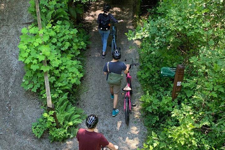 Stanley Park & Downtown - Vancouver Bike Tours