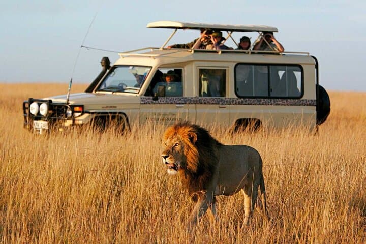 2-Day Safari from Zanzibar to Serengeti & Ngorongoro