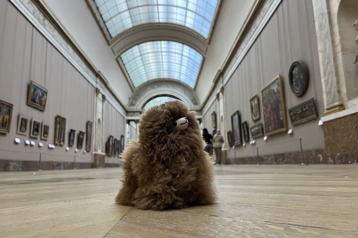Louvre: All the stars of museum - Private guided 3h tour & entry