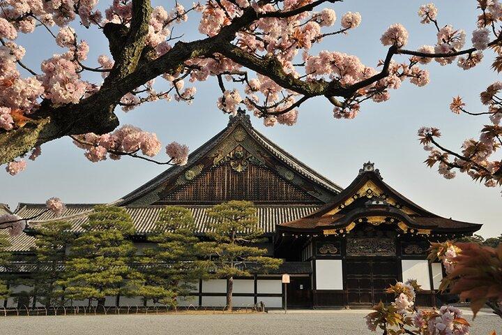 Nijo Castle Samurai Inside Story — Top-Rated Guide (Max 8)