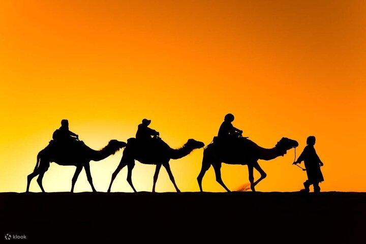 2 Days Circuit From Marrakech To Zagora Desert