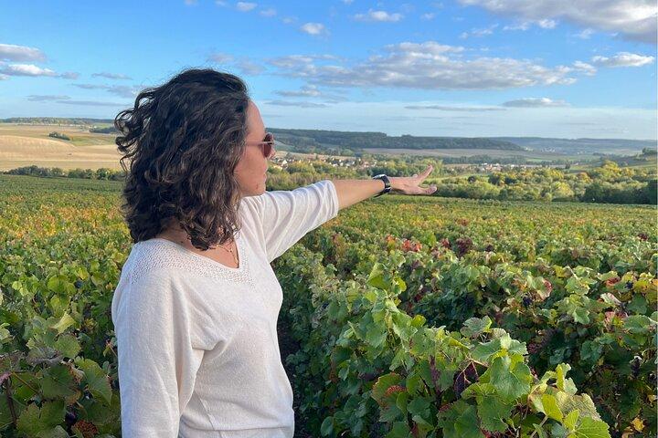 Sancerre Wine Day from Paris with 10 Tastings & Lunch