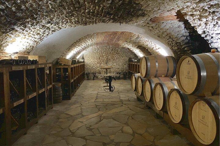 Sancerre Wine Day from Paris with 10 Tastings & Lunch