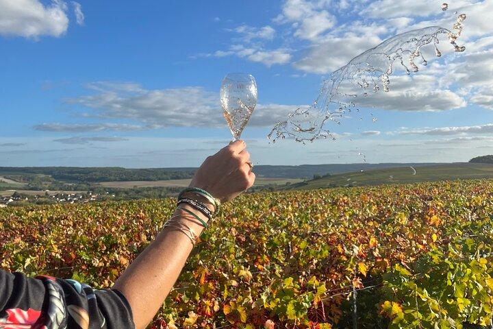 Sancerre Wine Day from Paris with 10 Tastings & Lunch