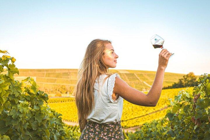Sancerre Private Wine Day from Paris with 10 Tastings & Lunch