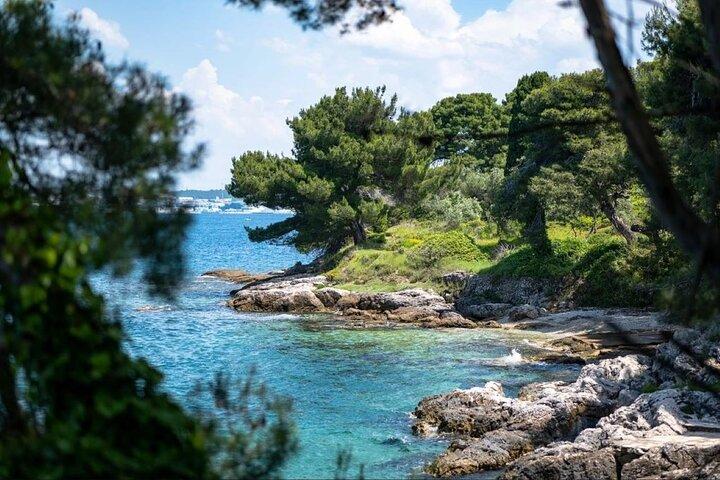 From Zadar Experience: Snorkeling & Island Vibes on a Speedboat