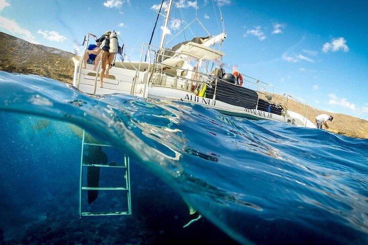 Turtles & Tacos Luxury Catamaran Snorkel