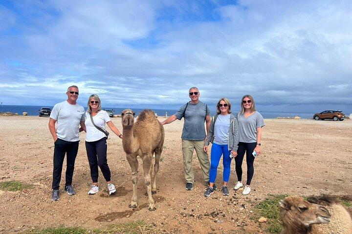 Private Luxury Tangier Tour From Malaga / Marbella or Tarifa