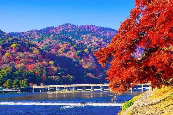 Premium Arashiyama Bamboo Forest, Tenryu-ji & Zen Garden Escape