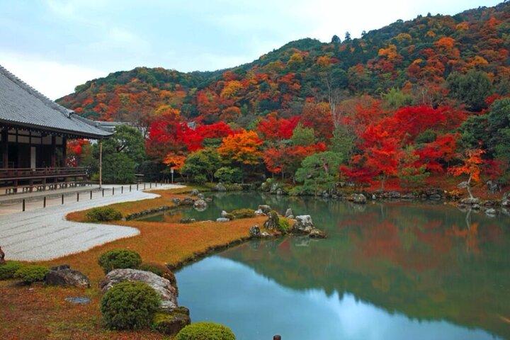 Premium Arashiyama Bamboo Forest, Tenryu-ji & Zen Garden Escape