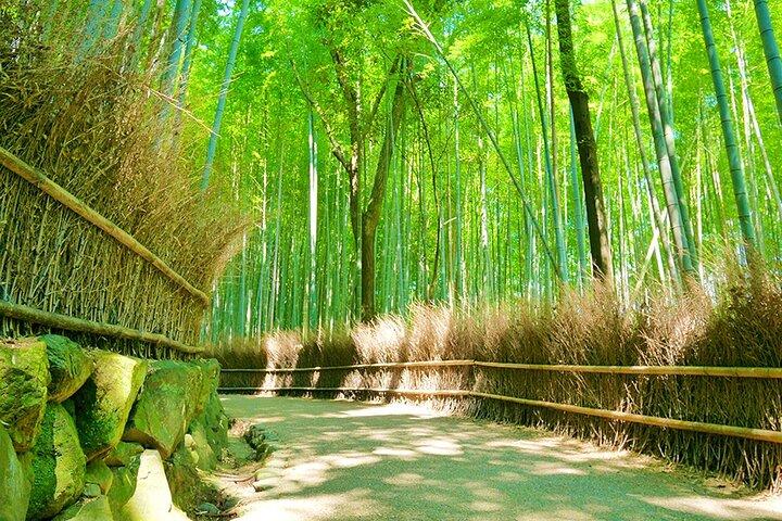 Premium Arashiyama Bamboo Forest, Tenryu-ji & Zen Garden Escape