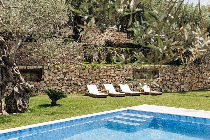 Private Olive Oil and Wine Tasting in Kurilo, Montenegro