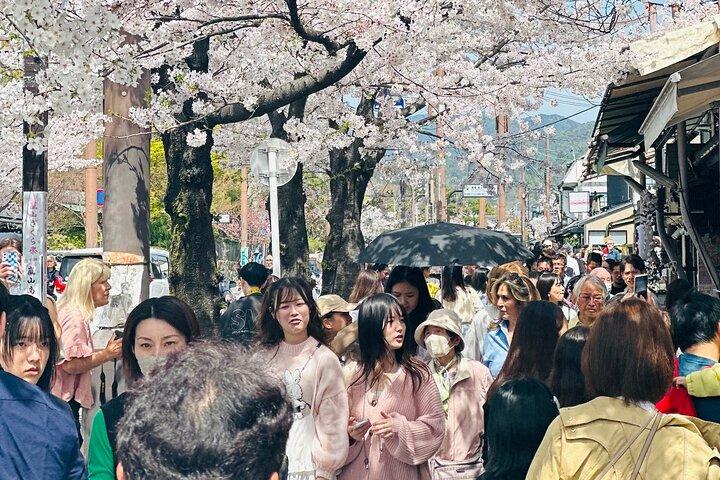 Kyoto Adventures Private English Tour With Hotel Pick Up