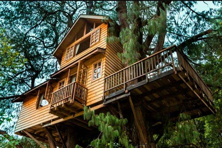 8 Hour Private Tour of Campos Do Jordão