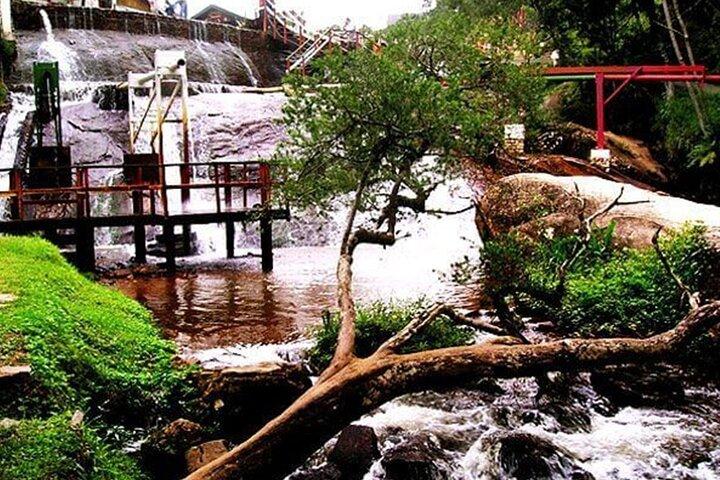 8 Hour Private Tour of Campos Do Jordão